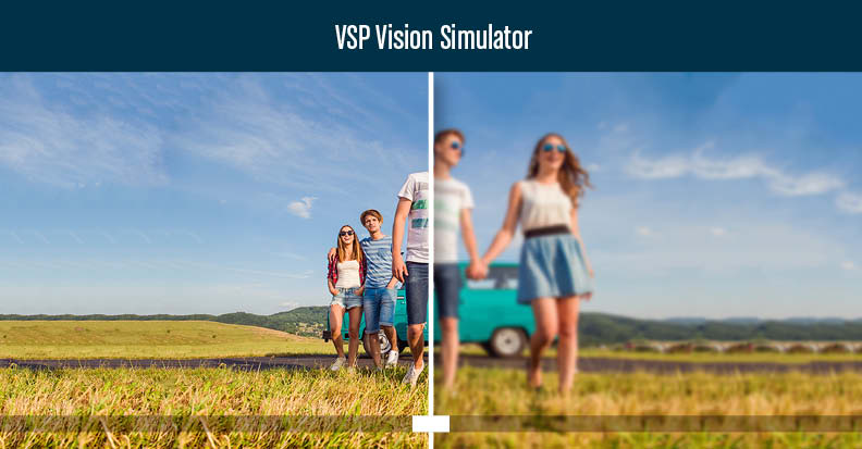 VSP Vision Simulator